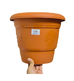 jpj
